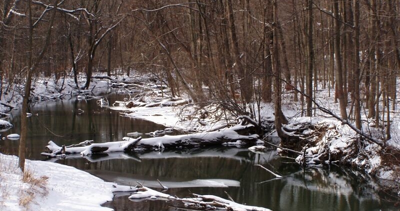 Snowy creek scene
